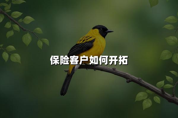 保险客户如何开拓