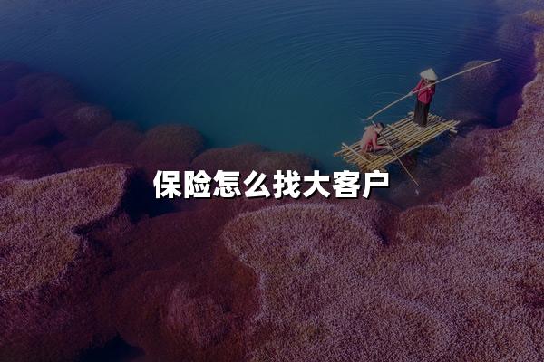 保险怎么找大客户