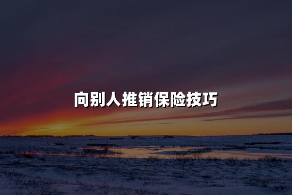 向别人推销保险技巧