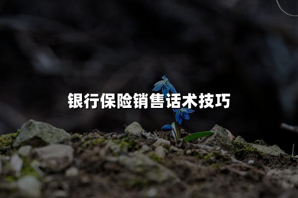 银行保险销售话术技巧