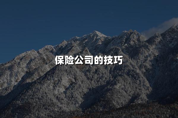 保险公司的技巧