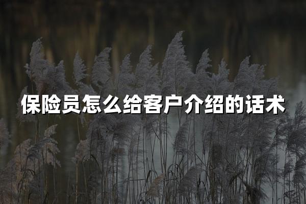 保险员怎么给客户介绍的话术