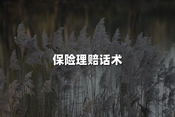 保险理赔话术