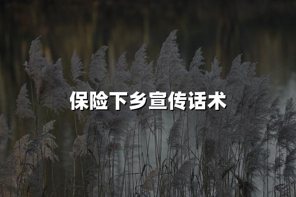 保险下乡宣传话术