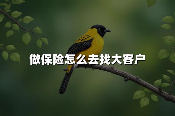 做保险怎么去找大客户