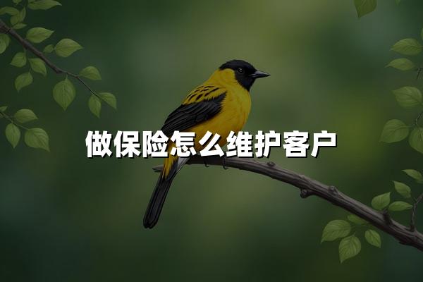 做保险怎么维护客户