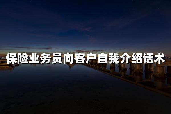 保险业务员向客户自我介绍话术