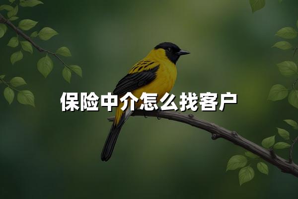 保险中介怎么找客户