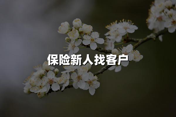 保险新人找客户