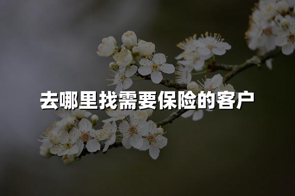 去哪里找需要保险的客户