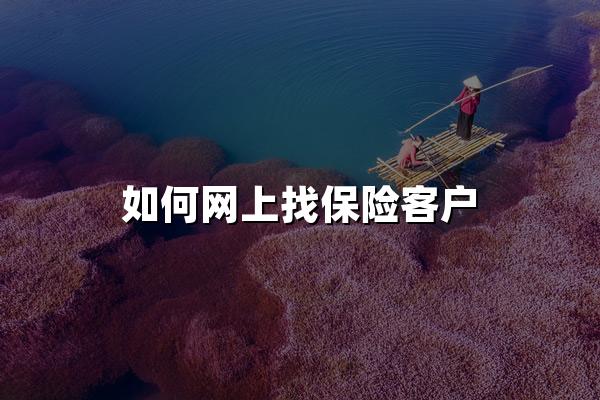 如何网上找保险客户