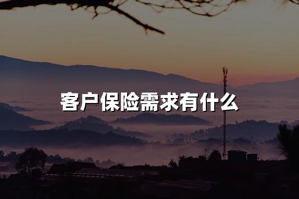 客户保险需求有什么