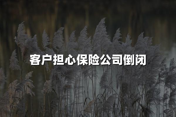 客户担心保险公司倒闭