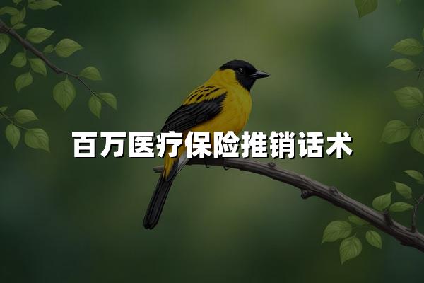 百万医疗保险推销话术