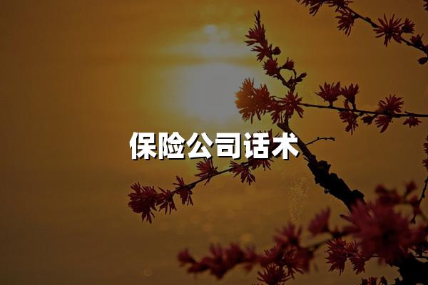 保险公司话术