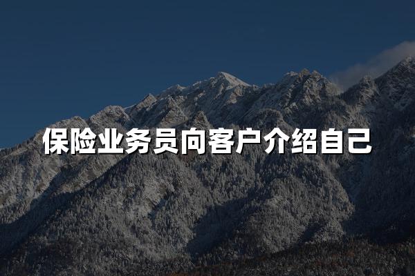 保险业务员向客户介绍自己