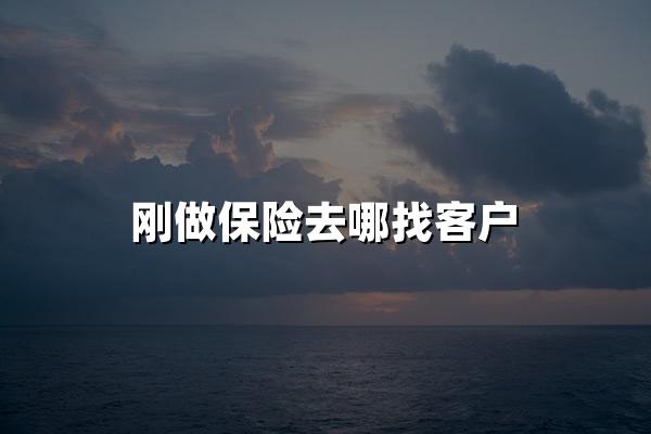 刚做保险去哪找客户