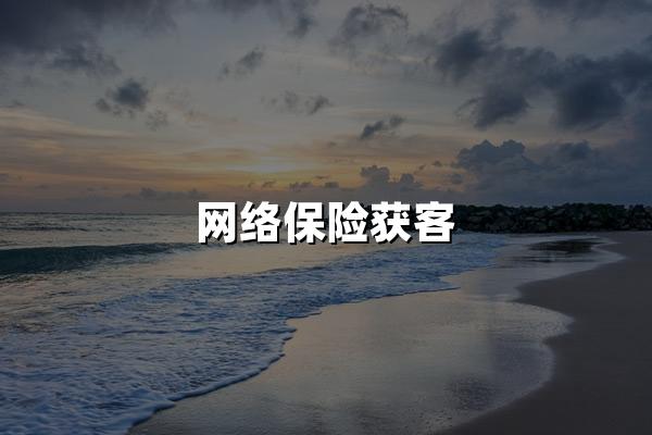 网络保险获客