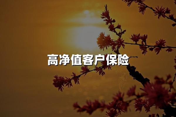 高净值客户保险