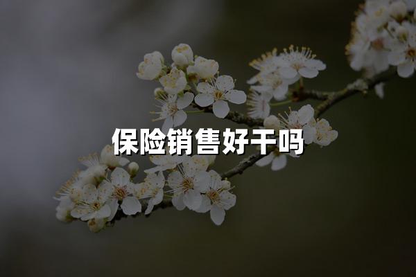 保险销售好干吗