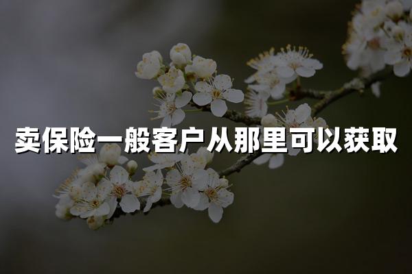 卖保险一般客户从那里可以获取