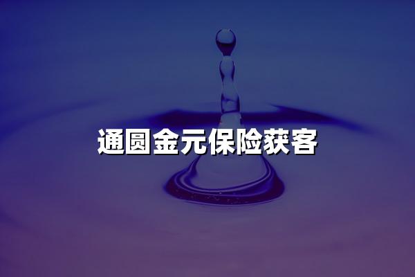 通圆金元保险获客