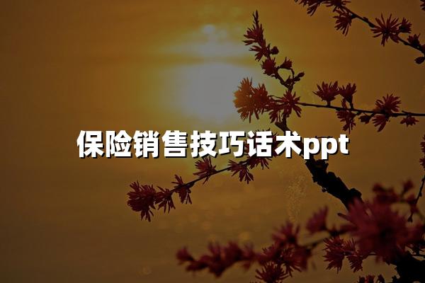 保险销售技巧话术ppt