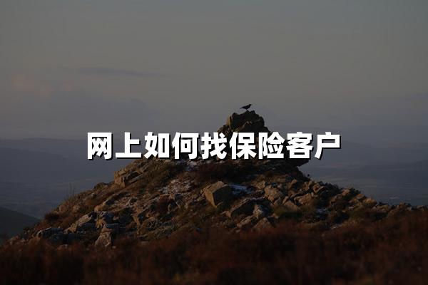 网上如何找保险客户