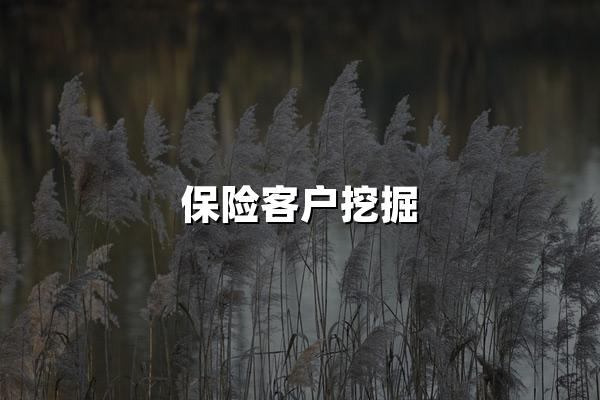 保险客户挖掘