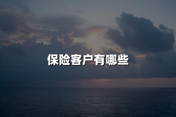 保险客户有哪些