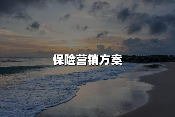 保险营销方案