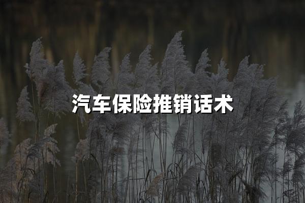 汽车保险推销话术