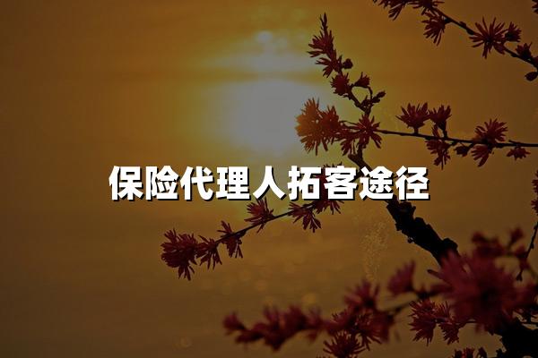 保险代理人拓客途径