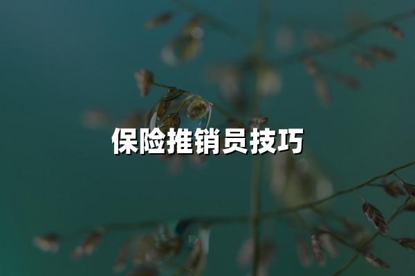 保险推销员技巧