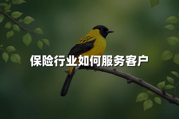 保险行业如何服务客户