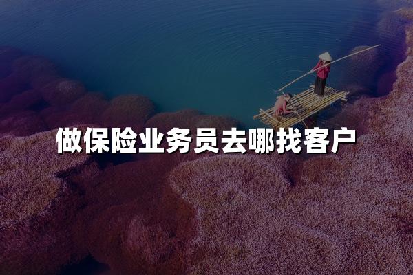 做保险业务员去哪找客户