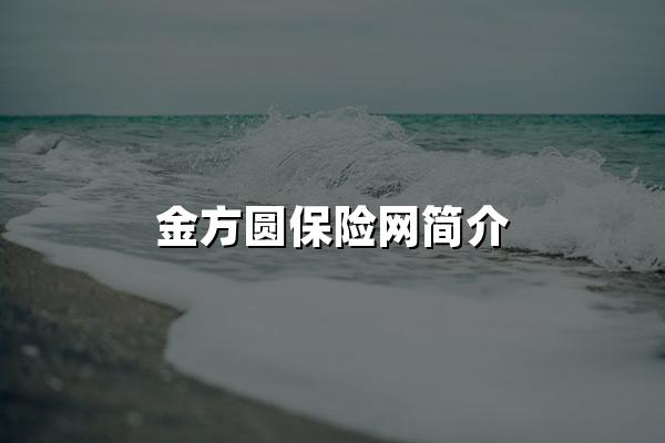 金方圆保险网简介