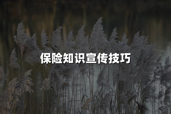 保险知识宣传技巧