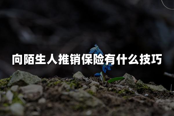 向陌生人推销保险有什么技巧