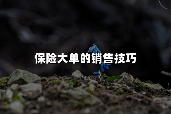 保险大单的销售技巧