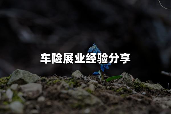 车险展业经验分享