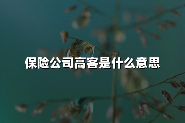 保险公司高客是什么意思