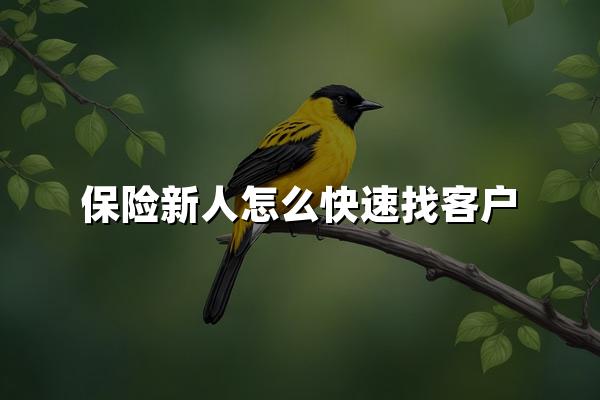 保险新人怎么快速找客户