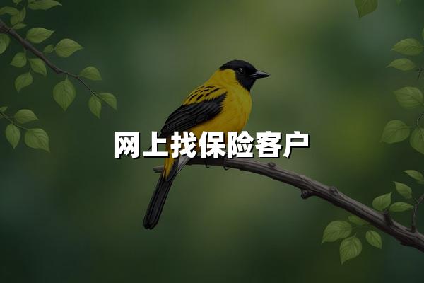 网上找保险客户