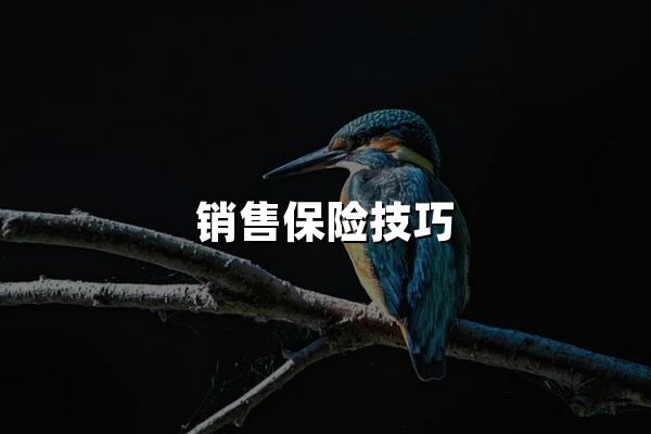 销售保险技巧