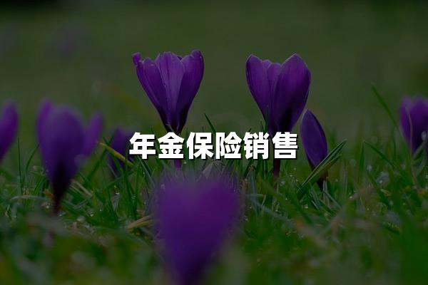 年金保险销售