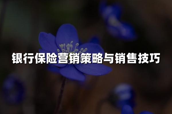 银行保险营销策略与销售技巧