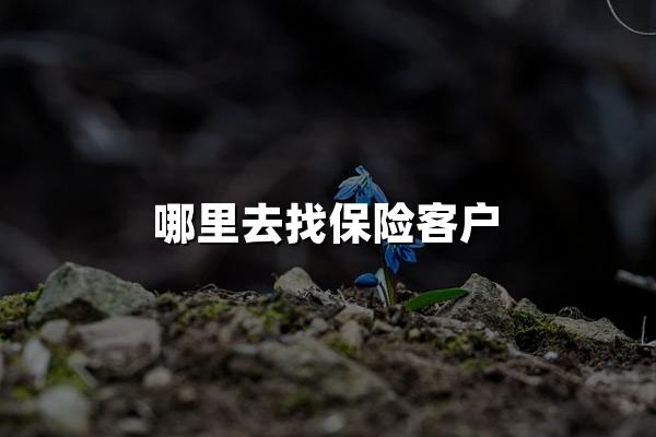 哪里去找保险客户