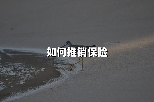 如何推销保险